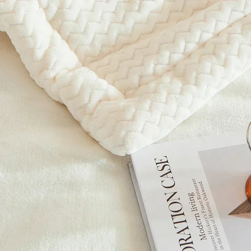 High End Autumn Winter Thickened Warm Blankets for Beds Soft Milk Fleece Warmth Single Double Blanket Beibei Velvet Comforter